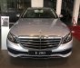 Mercedes-Benz E class E200 2017 - Cần bán Mercedes E200 2017, màu bạc