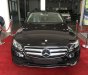 Mercedes-Benz E class E250 2017 - Bán ô tô Mercedes E250 năm 2017, màu đen