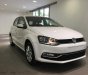 Volkswagen Polo 2016 - Volkswagen Polo Hatchback AT 2016 1.6 MPI - nhiều màu - xe năng động & bền bỉ cho đô thị - Quang Long 0933689294