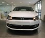 Volkswagen Polo 2016 - Volkswagen Polo Hatchback AT 2016 1.6 MPI - nhiều màu - xe năng động & bền bỉ cho đô thị - Quang Long 0933689294