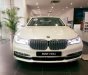 BMW 7 Series 730Li 2017 - BMW 7 Series 730Li 2017, màu trắng. BMW Đà Nẵng bán xe BMW 730Li nhập khẩu chính hãng, giá rẻ nhất tại Vinh