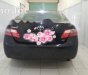 Toyota Camry LE 2008 - Bán xe Toyota Camry LE sản xuất 2008, màu đen, nhập khẩu  