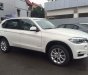 BMW X5 xDrive35i 2017 - Bán ô tô BMW X5 xDrive35i đời 2017, màu trắng, nhập khẩu nguyên chiếc, giảm giá tiền mặt, quà tặng hấp dẫn