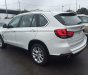 BMW X5 xDrive35i 2017 - Bán ô tô BMW X5 xDrive35i đời 2017, màu trắng, nhập khẩu nguyên chiếc, giảm giá tiền mặt, quà tặng hấp dẫn