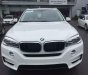 BMW X5 xDrive35i 2017 - Bán ô tô BMW X5 xDrive35i đời 2017, màu trắng, nhập khẩu nguyên chiếc, giảm giá tiền mặt, quà tặng hấp dẫn