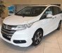 Honda Odyssey 2.4AT 2017 - Bán Honda Odyssey 2.4L đời 2017, màu trắng, nhập từ Nhật