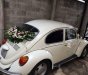 Volkswagen Beetle 1980 - Bán Volkswagen Beetle sản xuất 1980, màu trắng