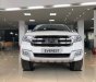 Ford Everest 2.2L 4x2 AT Trend 2017 - Cần bán xe Ford Everest 2.2L 4x2 AT Trend đời 2017, màu trắng, xe nhập, hỗ trợ trả góp đến 80% giá trị xe
