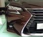 Lexus GS350 AT 2017 - Bán Lexus GS350 AT đời 2017, màu nâu, nhập khẩu nguyên chiếc