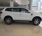 Ford Everest 2.2L 4x2 AT Trend 2017 - Cần bán xe Ford Everest 2.2L 4x2 AT Trend đời 2017, màu trắng, xe nhập, hỗ trợ trả góp đến 80% giá trị xe