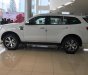 Ford Everest 2.2L 4x2 AT Trend 2017 - Cần bán xe Ford Everest 2.2L 4x2 AT Trend đời 2017, màu trắng, xe nhập, hỗ trợ trả góp đến 80% giá trị xe
