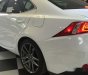 Lexus IS250   F Sport 2016 - Bán Lexus IS250 F Sport nhập khẩu Mỹ, mới 100%