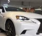 Lexus IS250   F Sport 2016 - Bán Lexus IS250 F Sport nhập khẩu Mỹ, mới 100%