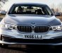 BMW 5 Series 520d 2017 - Bán ô tô BMW 5 Series 520d đời 2017, màu bạc, nhập khẩu, thế hệ thứ 7 mới nhất