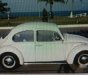 Volkswagen Beetle 1969 - Chính chủ bán xe Volkswagen Beetle đời 1969, màu trắng 