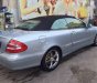 Mercedes-Benz CLK class  CLK 320 2006 - Bán Mercedes CLK 320 đời 2006, màu bạc, nhập khẩu