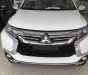 Mitsubishi Pajero Sport 2017 - Bán ô tô Mitsubishi Pajero Sport tại Đà Nẵng, màu trắng, xe nhập nguyên chiếc, giao xe nhanh, LH Quang 0905596067