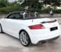 Audi TT Roadster 2008 - Salon bán Audi TT Roadster đời 2008, màu trắng, nhập khẩu nguyên chiếc, 880 triệu