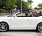 Audi TT Roadster 2008 - Salon bán Audi TT Roadster đời 2008, màu trắng, nhập khẩu nguyên chiếc, 880 triệu