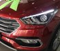 Hyundai Santa Fe 2017 - Hyundai SantaFe 2017 máy dầu, bản Full màu đỏ giao ngay