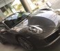 Porsche 911 2017 - Bán Porsche 911 đời 2017, màu xám, nhập khẩu nguyên chiếc