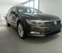 Volkswagen Passat GP 2016 - Đánh giá xe Volkswagen Passat GP, màu nâu, nhập khẩu Đức, tặng BHVC+ 3M. LH Hương: 0902.608.293