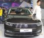 Volkswagen Passat GP 2016 - Đánh giá xe Volkswagen Passat GP, màu nâu, nhập khẩu Đức, tặng BHVC+ 3M. LH Hương: 0902.608.293