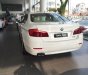 BMW 5 Series 520i 2016 - Bán ô tô BMW 5 Series 520i đời 2016, màu trắng, nhập khẩu