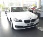 BMW 5 Series 520i 2016 - Bán ô tô BMW 5 Series 520i đời 2016, màu trắng, nhập khẩu