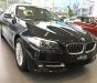 BMW 5 Series 520i 2016 - BMW Đà Nẵng bán xe BMW 520i 2016, màu đen, nhập khẩu chính hãng, mới 100%, giá rẻ nhất