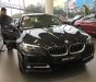 BMW 5 Series 520i 2016 - BMW Đà Nẵng bán xe BMW 520i 2016, màu đen, nhập khẩu chính hãng, mới 100%, giá rẻ nhất