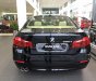 BMW 5 Series 520i 2016 - BMW Đà Nẵng bán xe BMW 520i 2016, màu đen, nhập khẩu chính hãng, mới 100%, giá rẻ nhất