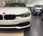 BMW 3 Series 320i 2017 - Bán ô tô BMW 3 Series 320i đời 2017, màu trắng, nhập khẩu chính hãng