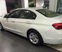 BMW 3 Series 320i 2017 - Bán ô tô BMW 3 Series 320i đời 2017, màu trắng, nhập khẩu chính hãng