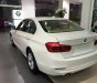 BMW 3 Series 320i 2017 - Bán ô tô BMW 3 Series 320i đời 2017, màu trắng, nhập khẩu chính hãng