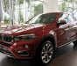 BMW X6 xDrive35i 2017 - Bán xe BMW X6 xDrive35i 2017, màu đỏ, phiên bản mới, giá tốt nhất, giao xe sớm