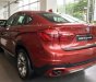 BMW X6 xDrive35i 2017 - Bán xe BMW X6 xDrive35i 2017, màu đỏ, phiên bản mới, giá tốt nhất, giao xe sớm