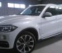 BMW X6 xDrive35i 2017 - BMW X6 xDrive35i 2017, màu trắng, xe chính hãng, giá rẻ nhất