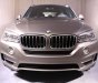 BMW X5 xDrive35i 2017 - Bán ô tô BMW X5 xDrive35i 2017, màu bạc