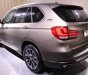 BMW X5 xDrive35i 2017 - Bán ô tô BMW X5 xDrive35i 2017, màu bạc