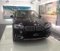 BMW X5 xDrive35i 2017 - Bán xe BMW X5 xDrive35i 2017, màu đen