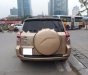Toyota RAV4 2.5AT 2010 - Bán Toyota RAV4 2.5AT đời 2010, màu vàng, nhập khẩu chính hãng