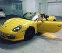 Porsche Boxster 2009 - Cần bán lại xe Porsche Boxster đời 2009, màu vàng, nhập khẩu nguyên chiếc