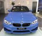 BMW M3 2017 - Cần bán xe BMW M3 đời 2017, màu xanh lam, nhập khẩu