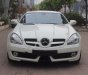 Mercedes-Benz SLK class SLK200 2010 - Bán xe Mercedes 200 1.8 L năm 2010, màu trắng, nhập khẩu nguyên chiếc