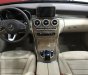 Mercedes-Benz C250 E 2017 - Bán xe Mercedes E 2017, màu đỏ, nhập khẩu chính hãng