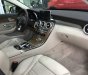 Mercedes-Benz C250 E 2017 - Bán xe Mercedes E 2017, màu đỏ, nhập khẩu chính hãng