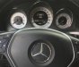 Mercedes-Benz GLK  250 AMG  2014 - Bán Mercedes GLK 250 AMG đời 2014, màu đen