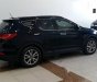 Hyundai Santa Fe CRDi 2012 - Bán Hyundai Santa Fe CRDi đời 2012, màu đen, nhập khẩu