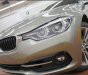 BMW 3 Series 330i 2017 - BMW 330i 2017 - Ưu đãi cực lớn, có xe giao ngay